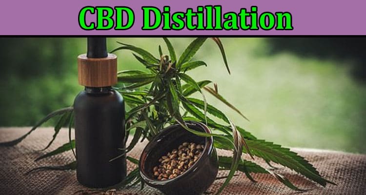 Why is Everyone Talking about CBD Distillation- Read